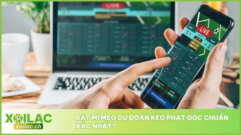 Phân Tích Kèo Phạt Góc Đem Lợi Nhuận Về Từ Mỗi Lượt Phạt 5 Người chơi cần có một chiến lược hợp lý và sự phân tích kỹ lưỡng